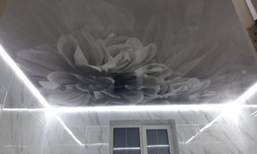 Натяжной потолок с фотопечатью